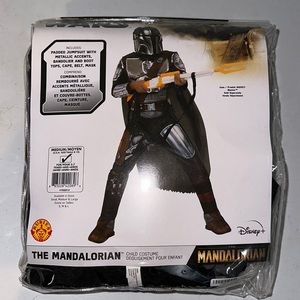 Star Wars The Mandalorian